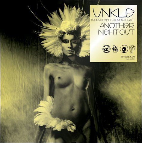 UNKLE - Where Did The Night Fall - Another Night Out [Limited Edition] (2011)